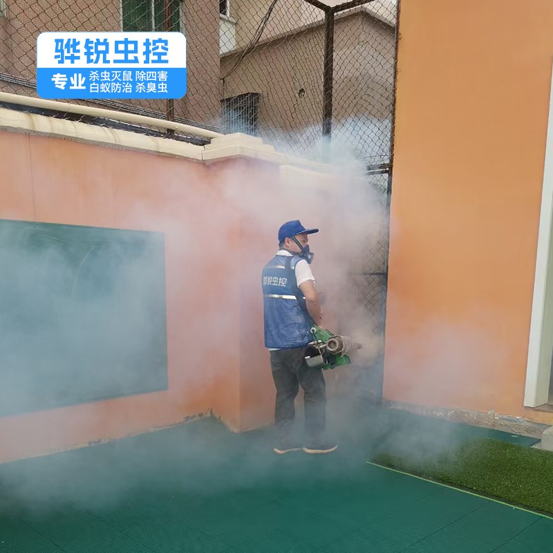 东莞除四害 消杀害虫 一次性根除