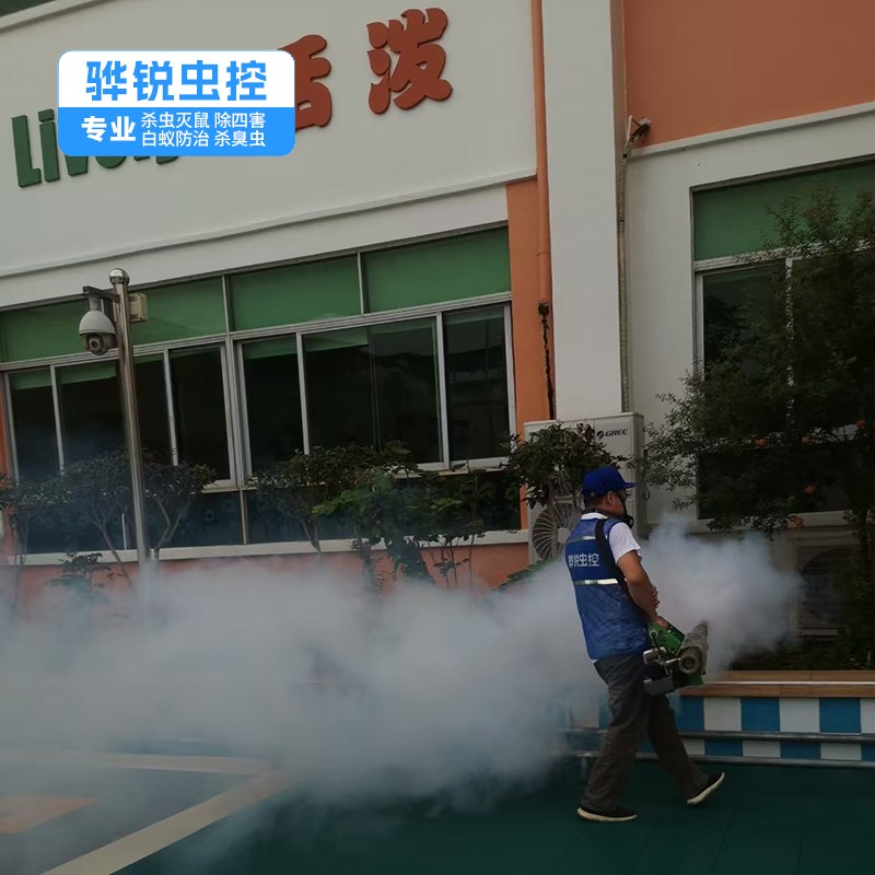 东莞杀虫灭鼠 工厂宿舍消灭小飞虫 快速有效