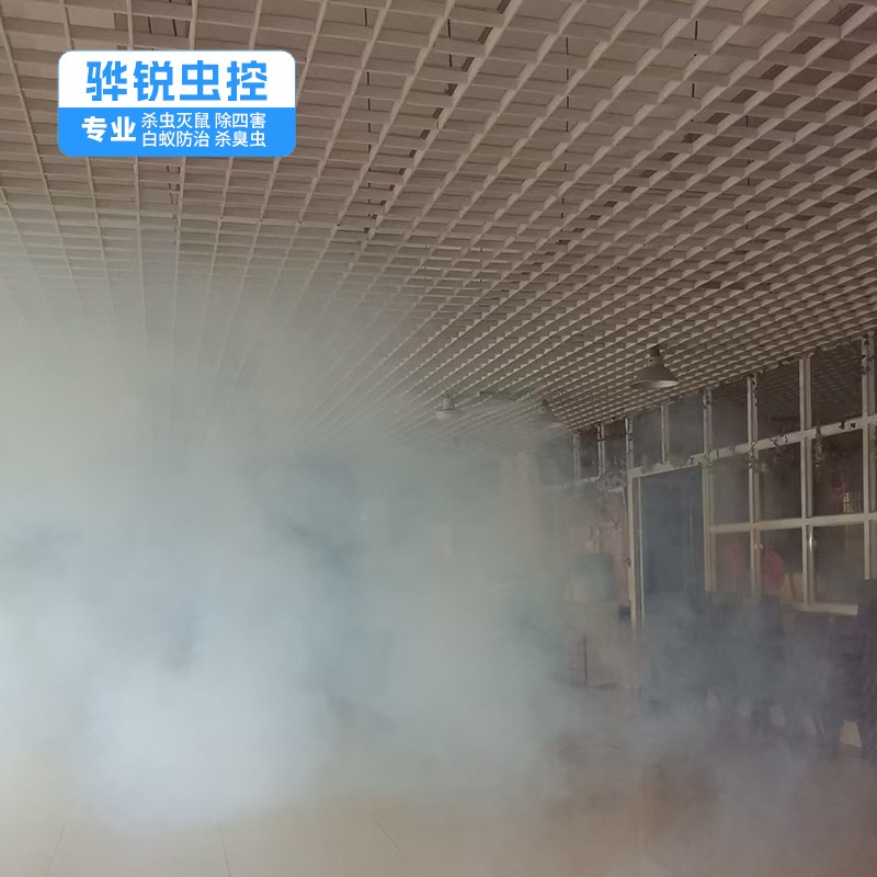 深圳除虫灭鼠 除蟑螂 效果好