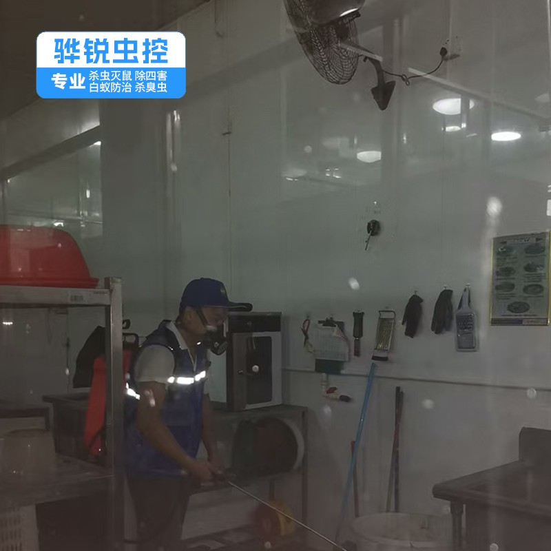 深圳除虫灭鼠 工厂宿舍杀臭虫 根除效果好