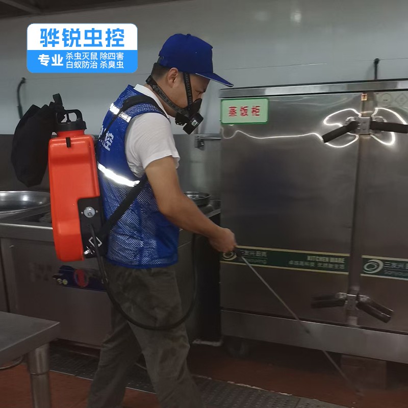 深圳杀虫灭鼠 工厂宿舍除老鼠 本地服务公司