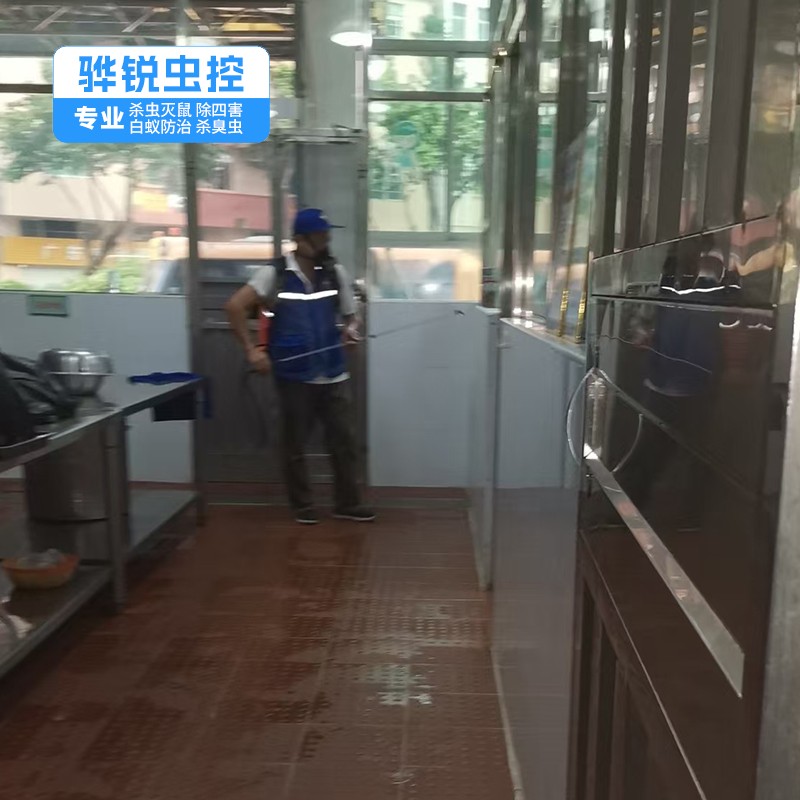 深圳工厂消杀 灭蟑螂 仓储物流虫害