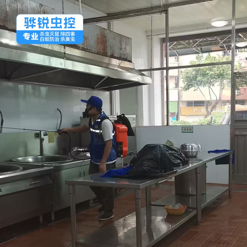 广州杀虫灭鼠 四害消杀 一次性根除