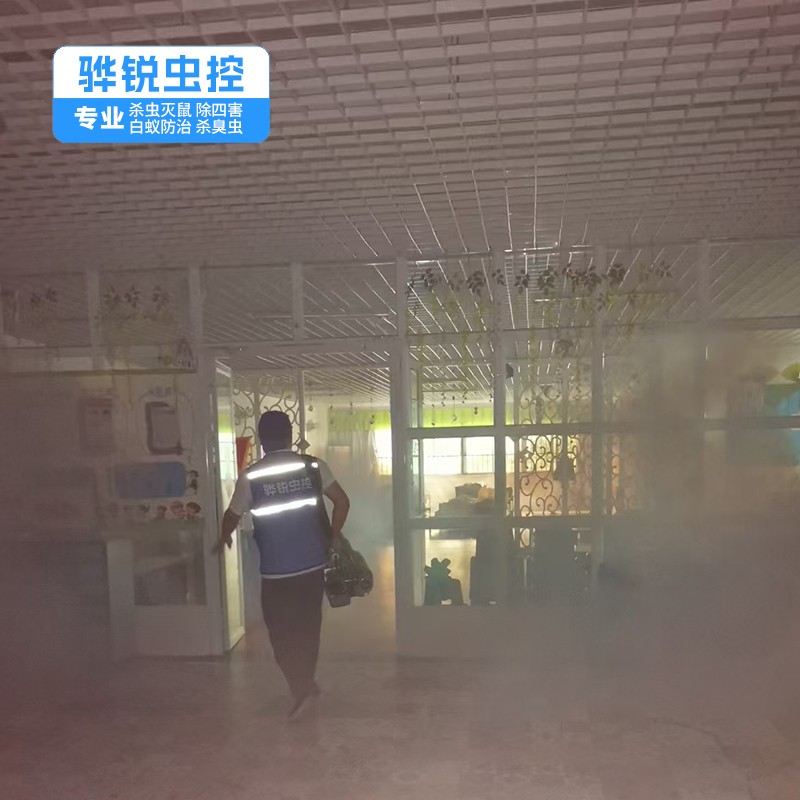 深圳白蚁 四害消杀 一次性根除