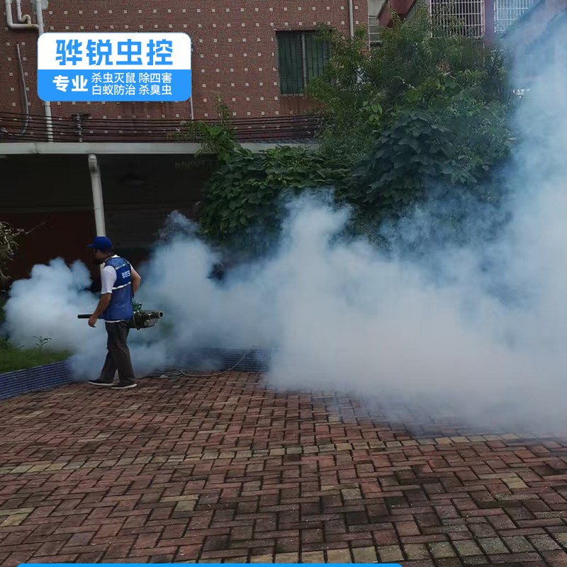 广州除虫灭鼠 工厂宿舍杀臭虫 效果看得见