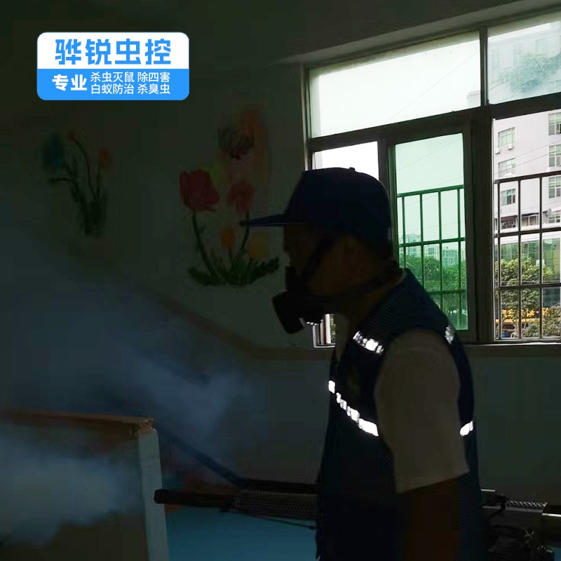 深圳工厂消杀 餐厅宾馆杀臭虫 根除效果好