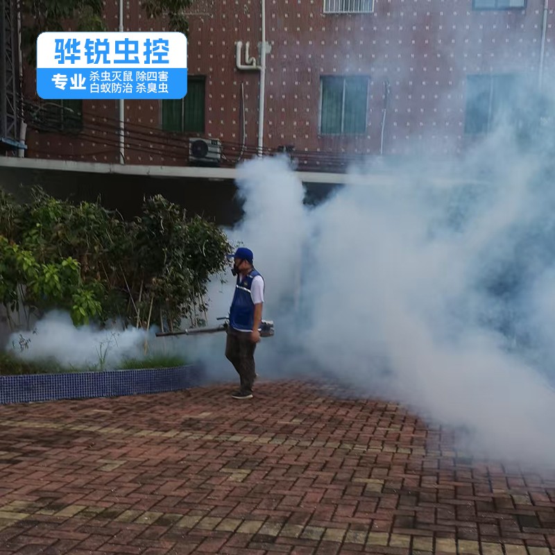 深圳工厂消杀 灭蟑螂 仓储物流虫害