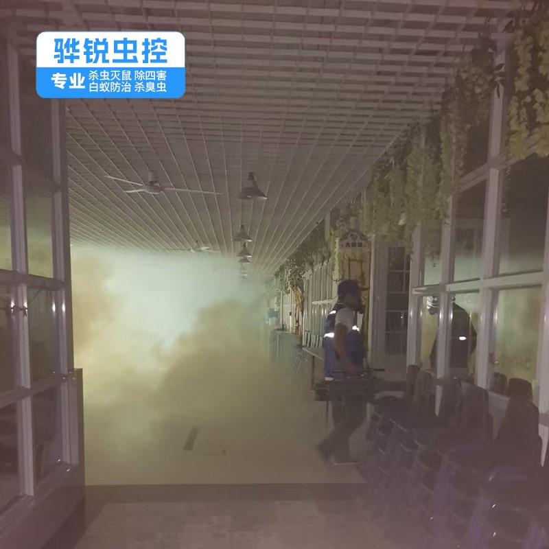 深圳杀虫灭鼠 家庭酒店消杀害虫 解决方案