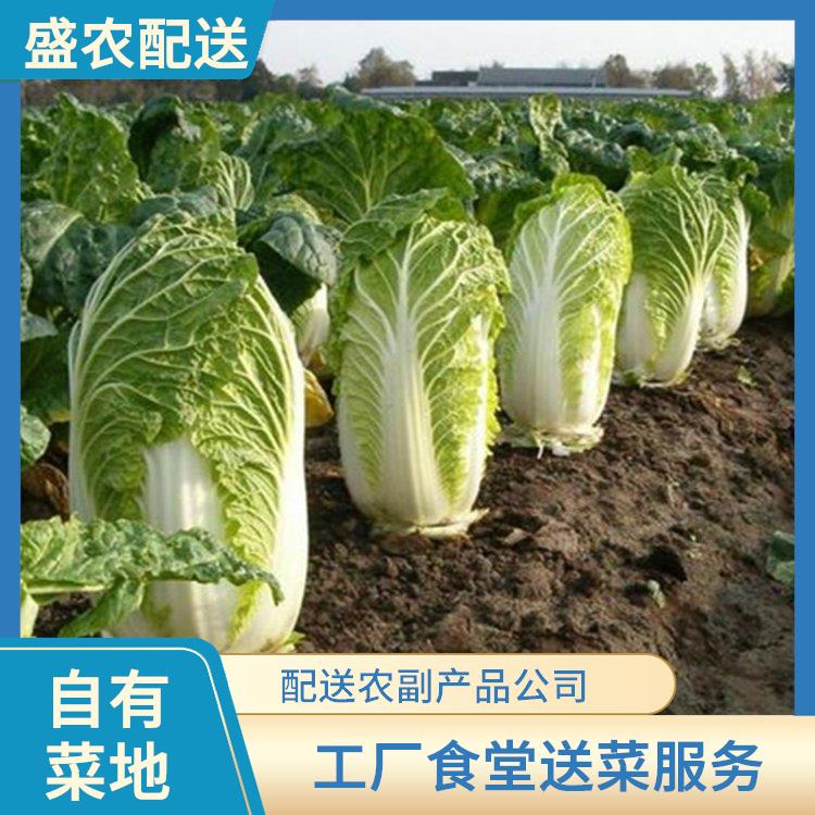大亚湾饭堂食材配送服务公司 工厂食堂送菜服务 大型批发市场提供平价送菜服务