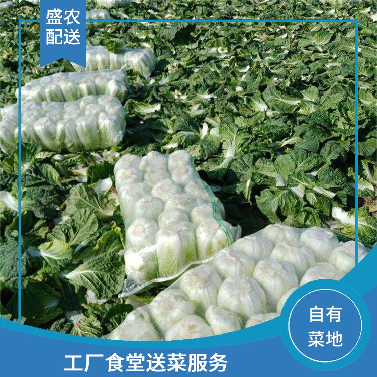 石排饭堂食材配送服务公司 工厂食堂送菜服务 提供一站式平价蔬菜配送服务