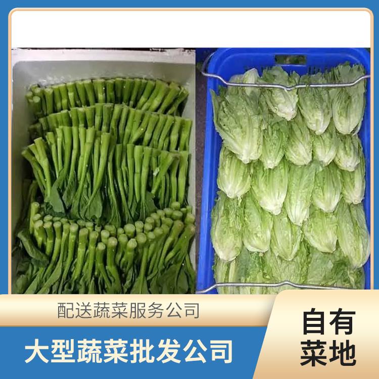 佛山饭堂食材配送服务公司 配送蔬菜服务公司 提供一站式平价蔬菜配送服务