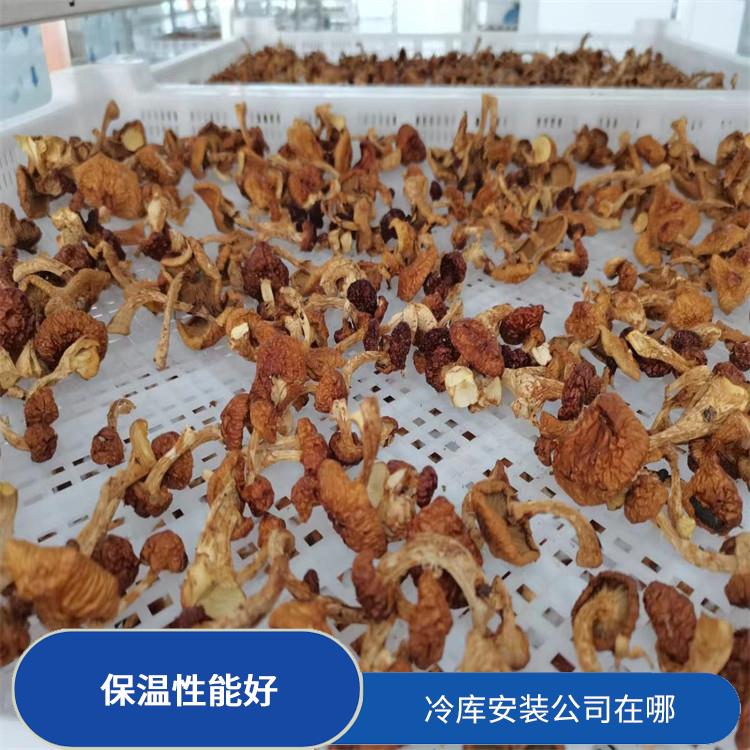 渠县冷冻库设备 名山小型冷库设备 报价表