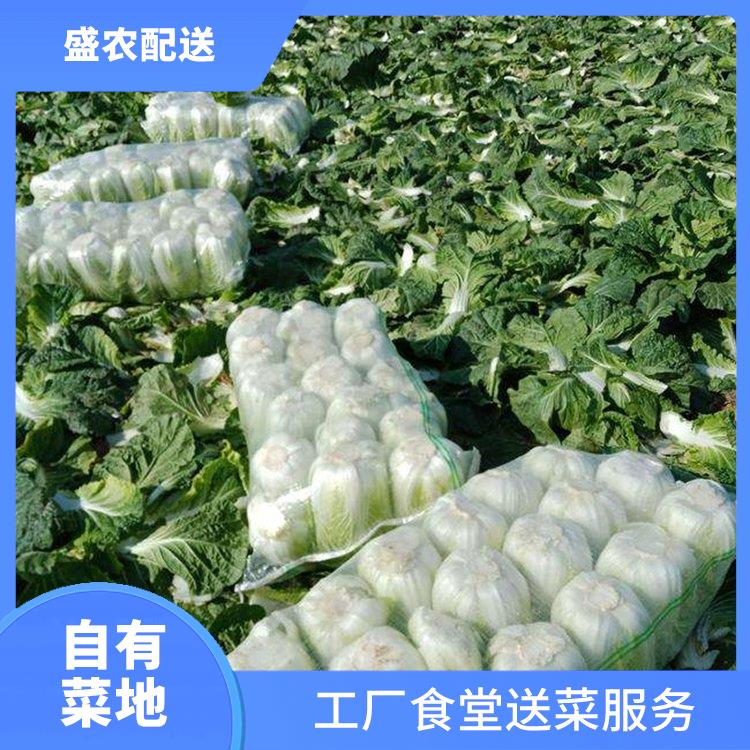黄江饭堂食材配送服务公司 配送蔬菜服务公司 提供一站式平价蔬菜配送服务