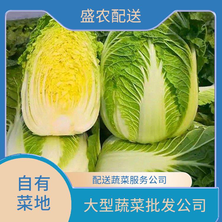 嘉兴市饭堂食材配送服务公司 大型蔬菜批发公司 提供一站式平价蔬菜配送服务