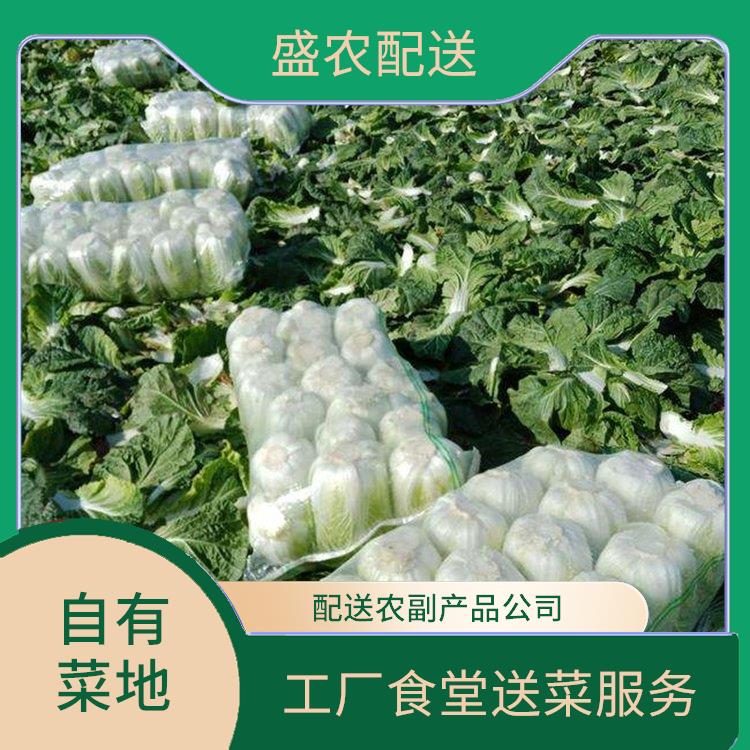 茶山饭堂食材配送服务公司 配送蔬菜服务公司 提供一站式平价蔬菜配送服务