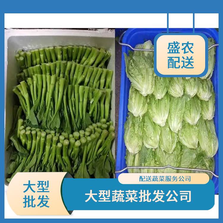 杨侨镇饭堂食材配送服务公司 配送蔬菜服务公司 提供一站式平价蔬菜配送服务
