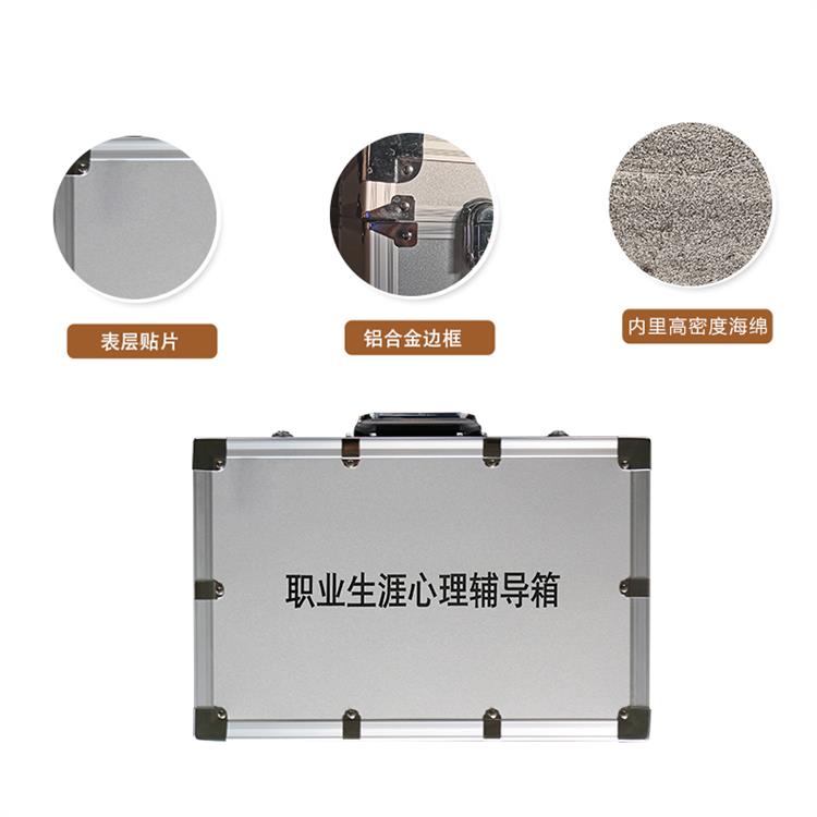 职业心理服务 职业生涯