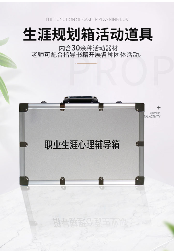 职业生涯