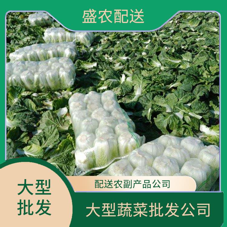 广州饭堂食材配送服务公司 大型蔬菜批发公司 大型批发市场提供平价送菜服务