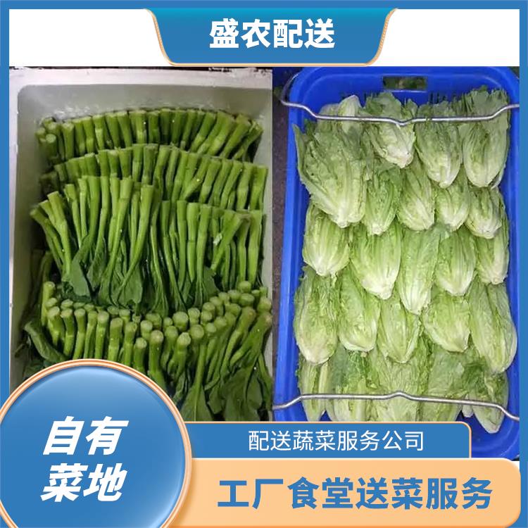 陈江饭堂食材配送服务公司 工厂食堂送菜服务 提供一站式平价蔬菜配送服务
