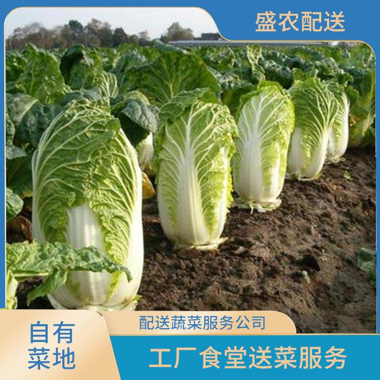 中山小榄饭堂食材配送服务公司 大型蔬菜批发公司 提供一站式平价蔬菜配送服务
