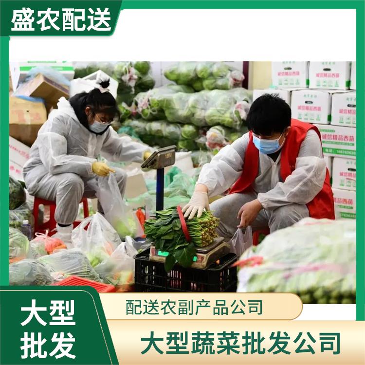 中山小榄饭堂食材配送服务公司 大型蔬菜批发公司 提供一站式平价蔬菜配送服务