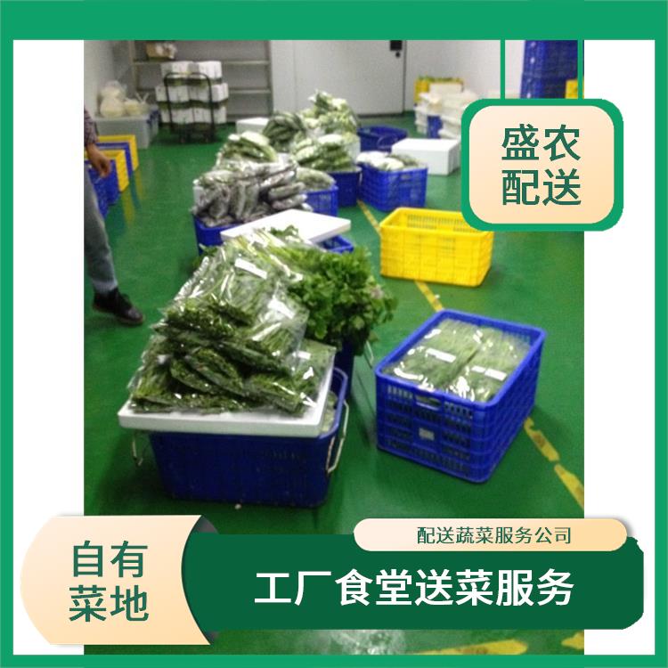 中山小榄饭堂食材配送服务公司 大型蔬菜批发公司 提供一站式平价蔬菜配送服务