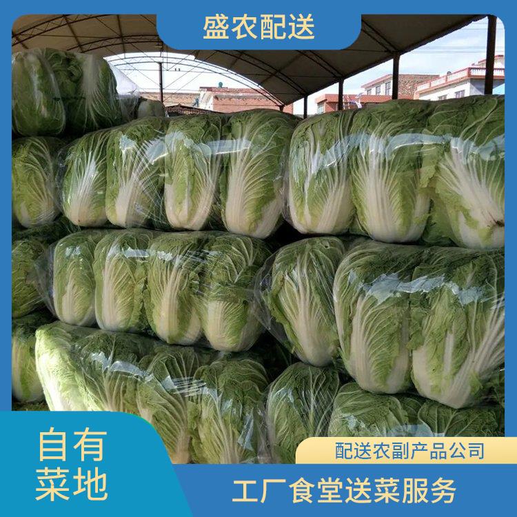 河源饭堂食材配送服务公司 配送蔬菜服务公司 大型批发市场提供平价送菜服务