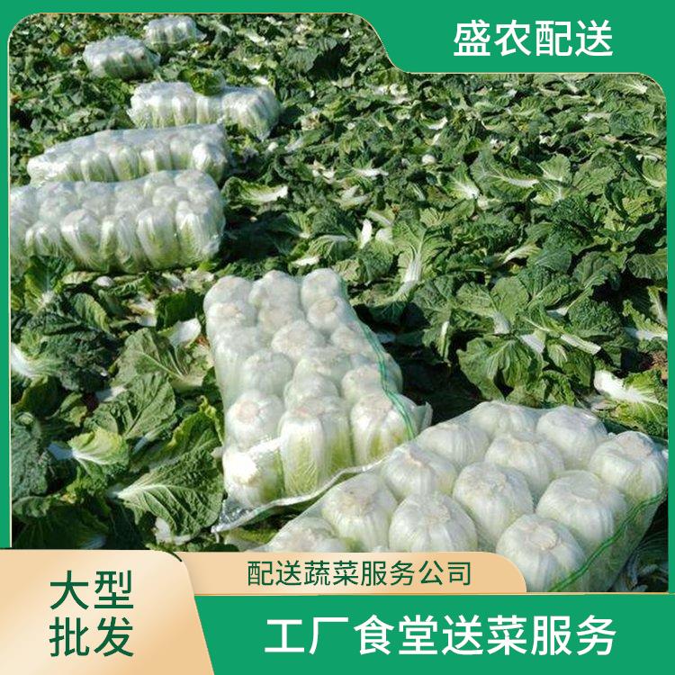 东莞东城街道饭堂食材配送服务公司 工厂食堂送菜服务 大型批发市场提供平价送菜服务
