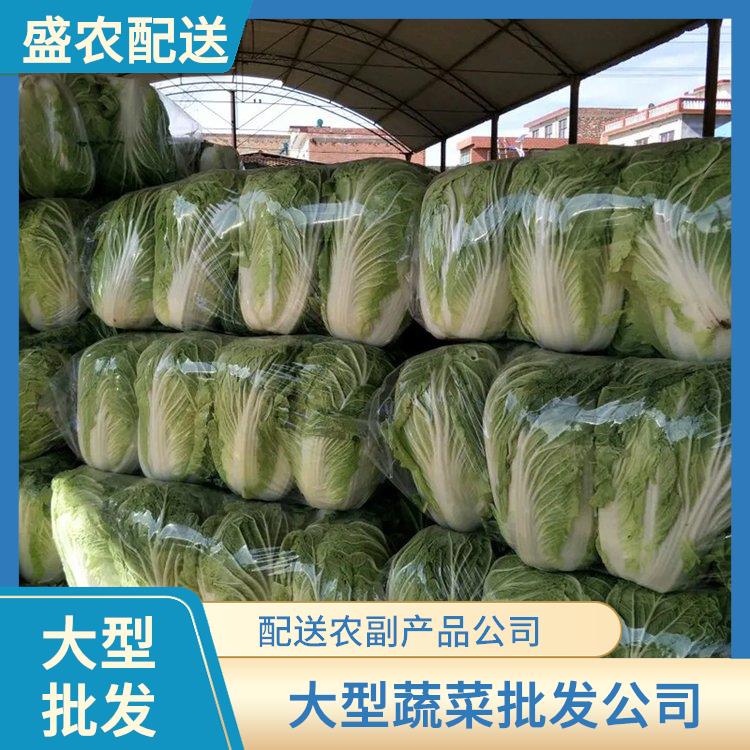 石坝镇饭堂食材配送服务公司 大型蔬菜批发公司 提供一站式平价蔬菜配送服务