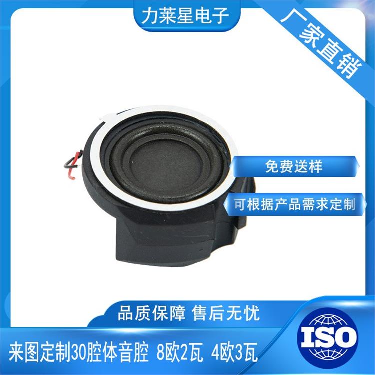 智能家居音腔喇叭厂家