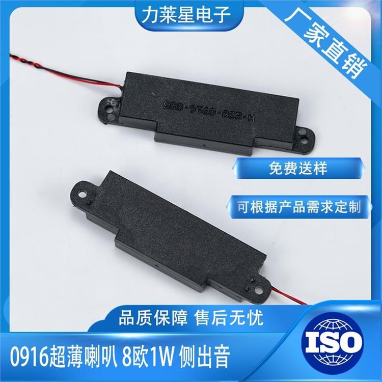深圳异形腔体喇叭