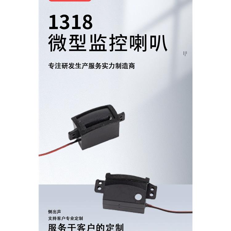 长沙微型方块迷你音腔喇叭规格