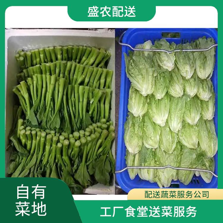 惠城饭堂食材配送服务公司 大型蔬菜批发公司 提供一站式平价蔬菜配送服务
