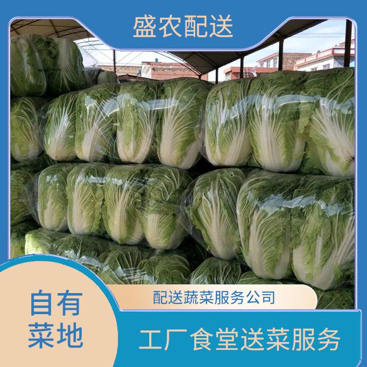 中山古镇饭堂食材配送服务公司 配送农副产品公司 提供一站式平价蔬菜配送服务