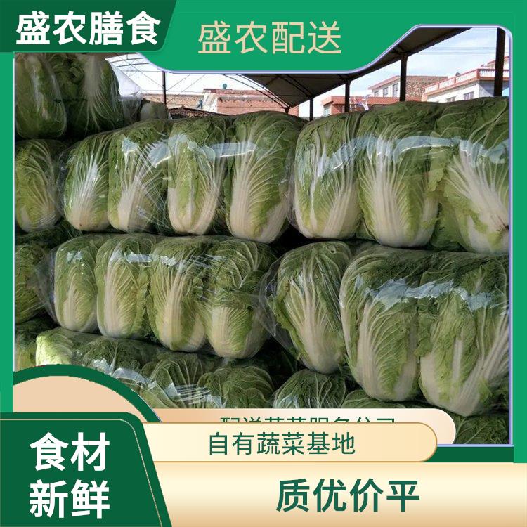 清城区大型餐饮配送公司 食堂蔬菜粮油配送 规模化蔬菜配送中心