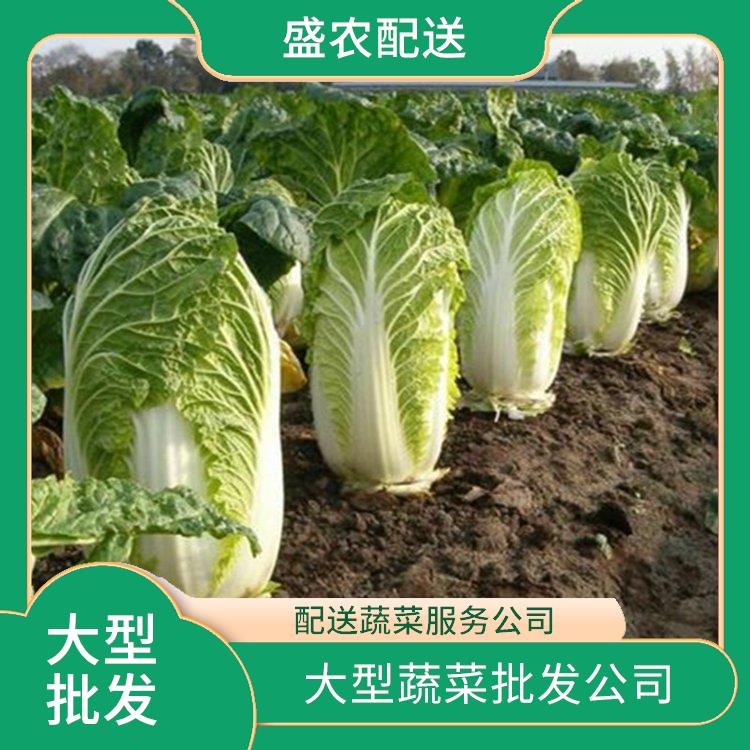 中山南头饭堂食材配送服务公司 工厂食堂送菜服务 大型批发市场提供平价送菜服务