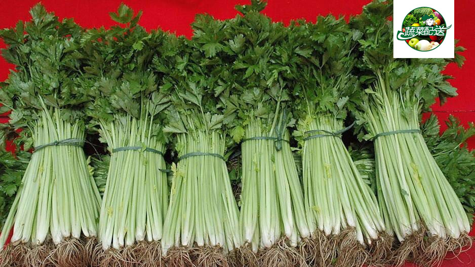 樟木頭蔬菜配送供應(yīng)