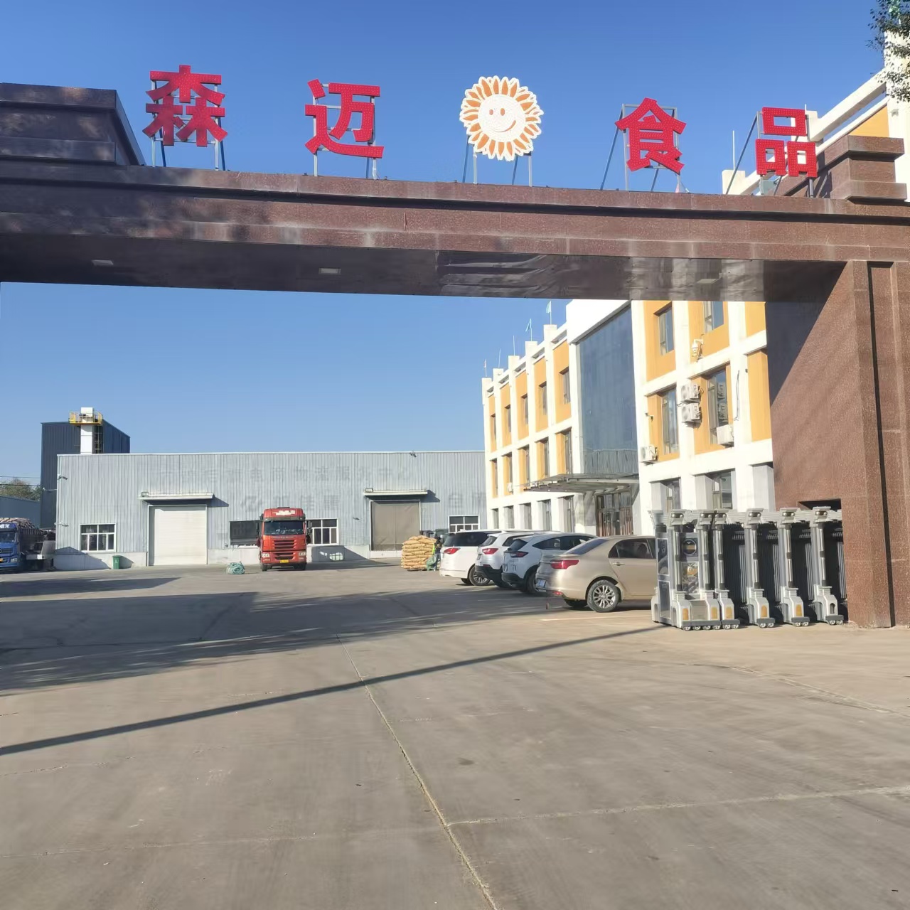 2025年东北南瓜籽靠谱厂家推荐榜,绿色南瓜籽供应商TOP5*白皮书