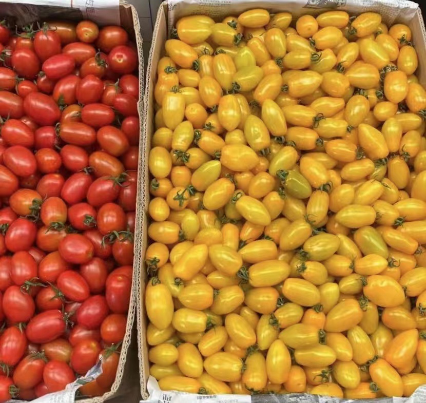 橫瀝鎮(zhèn)蔬菜配送供應(yīng)