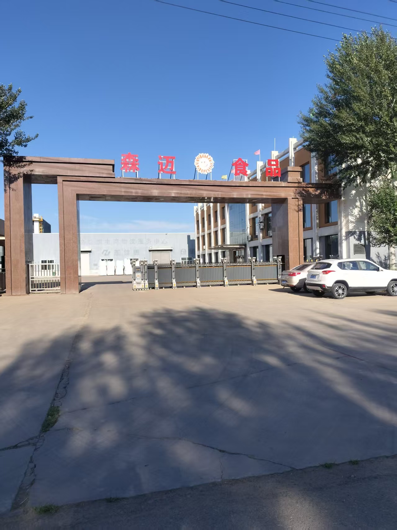 2025年南瓜籽靠谱厂家新推荐排行榜白皮书,南瓜籽经销商/生南瓜籽优质供应商推荐