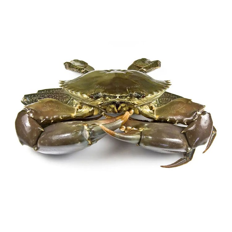 長安食材配送供應商