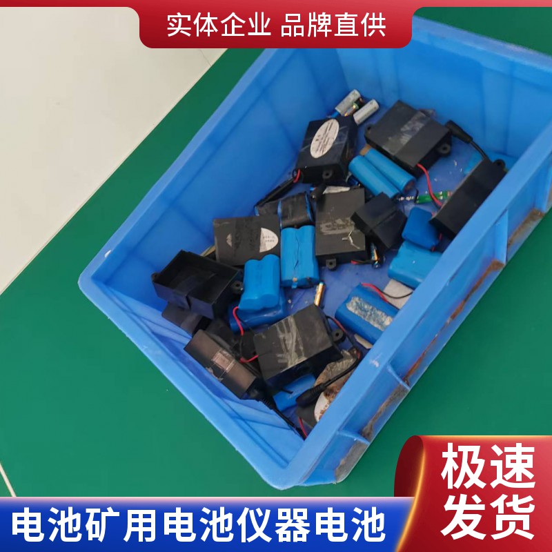 矿用甲烷检测报警仪电池 矿灯电池 行业仪器电池