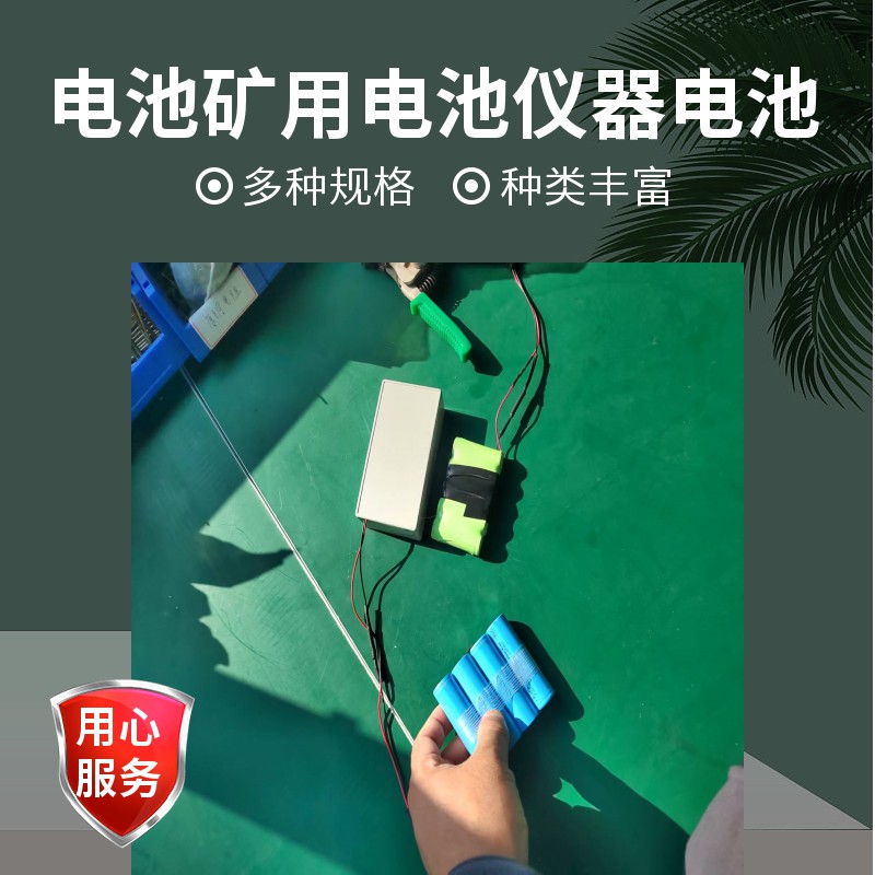 矿用甲烷检测报警仪电池 矿灯电池 行业仪器电池