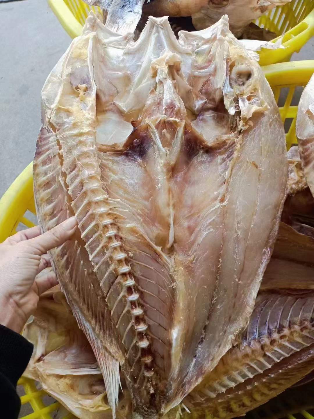 常平食材配送公司