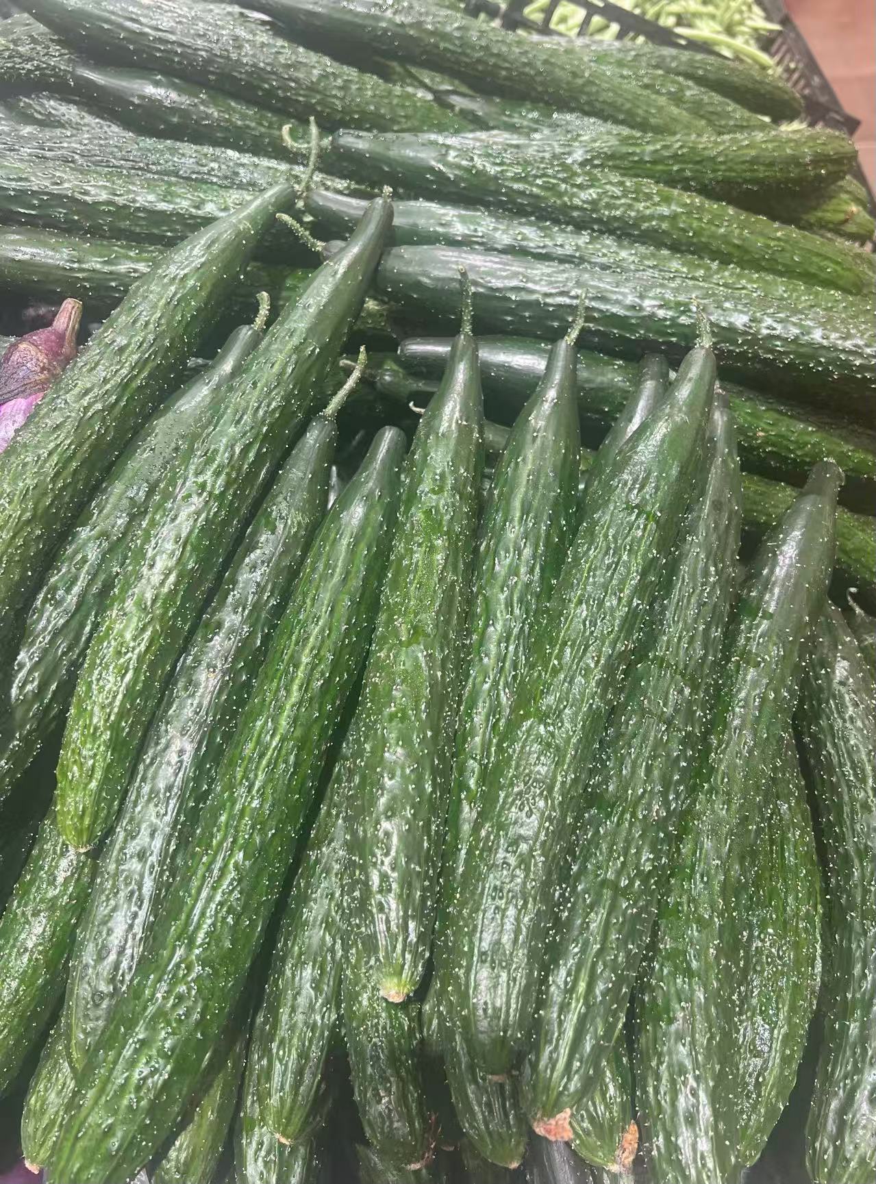 常平食材配送公司