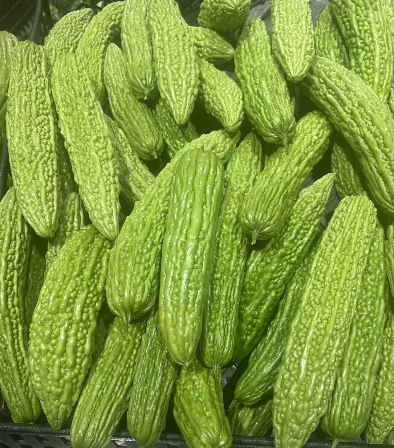 常平食材配送公司