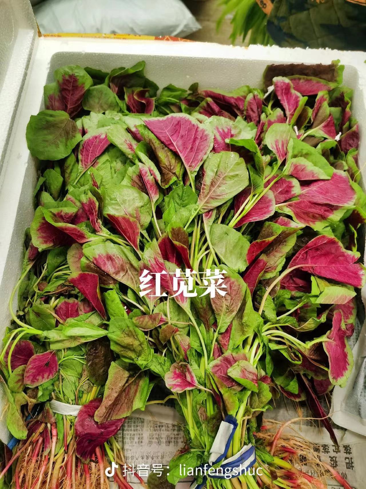 樟木頭蔬菜配送