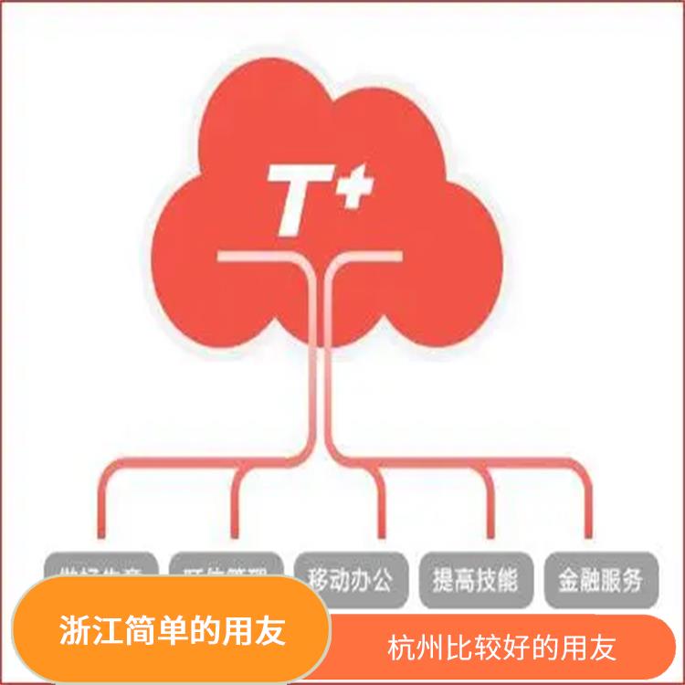 用友好會計軟件 浙江*的用友 杭州用友軟件公司