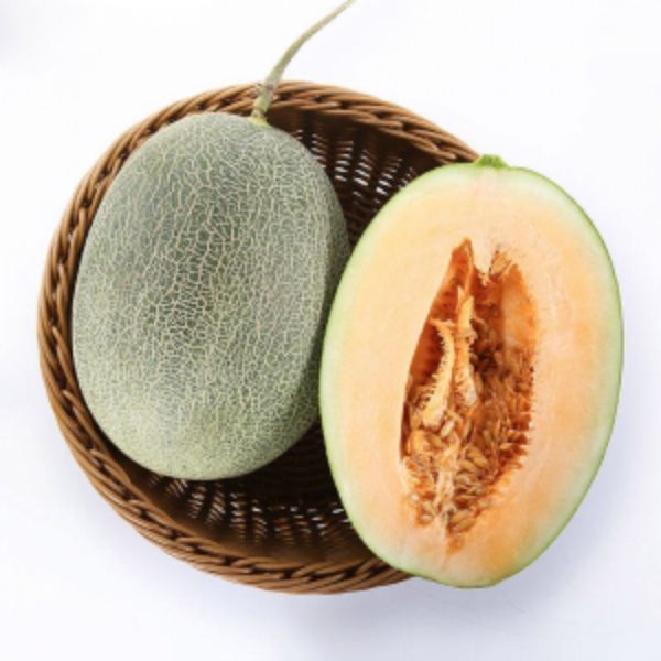 塘廈食材配送哪家好